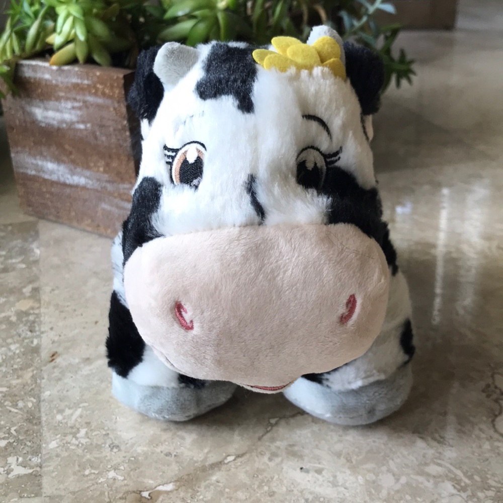 Girl Scouts Daisy Bell